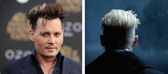 Will Johnny Depp play Dumbledore&#8217;s gay lover in new Harry Potter films?