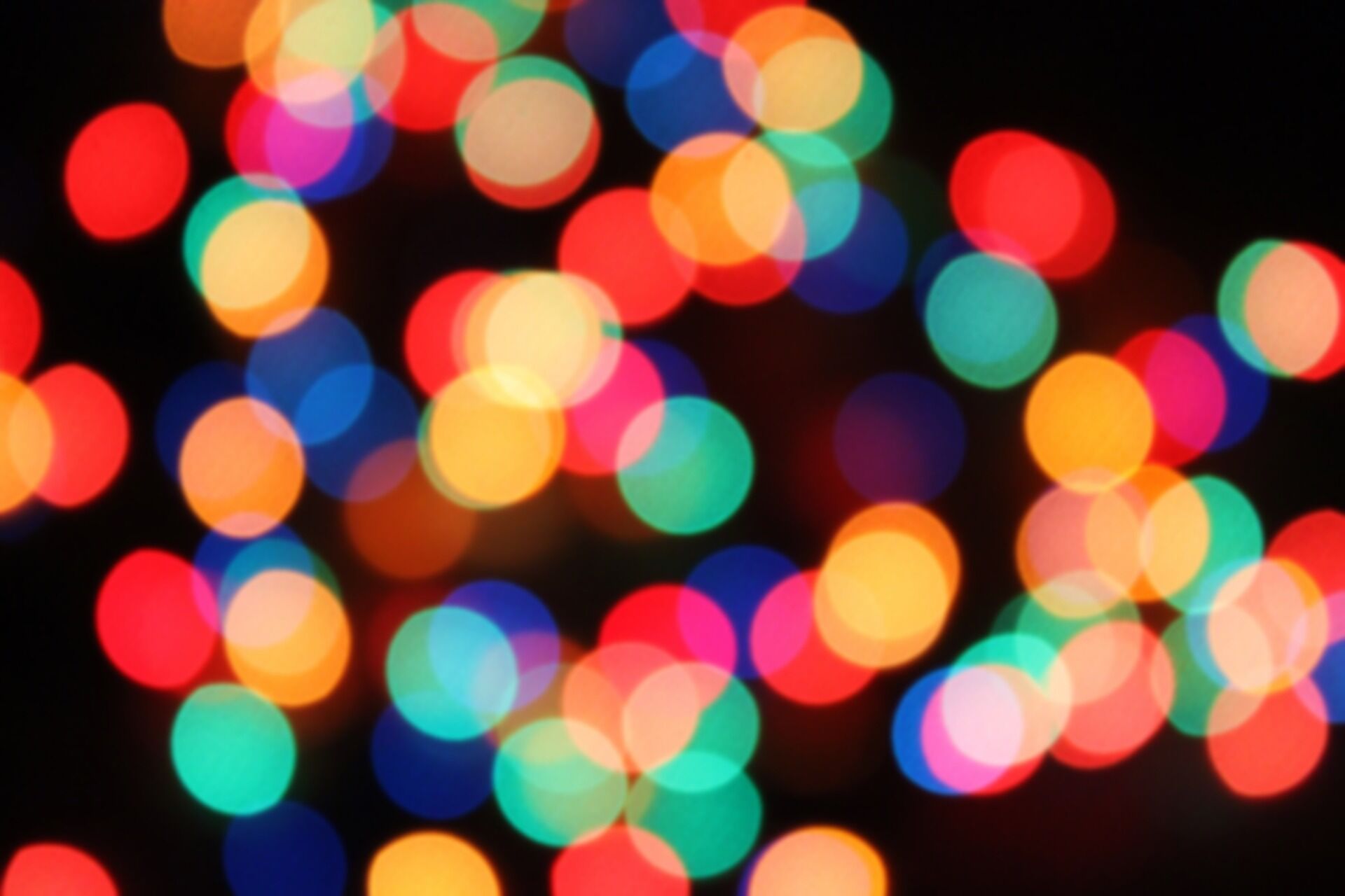 How are you celebrating this Christmas?