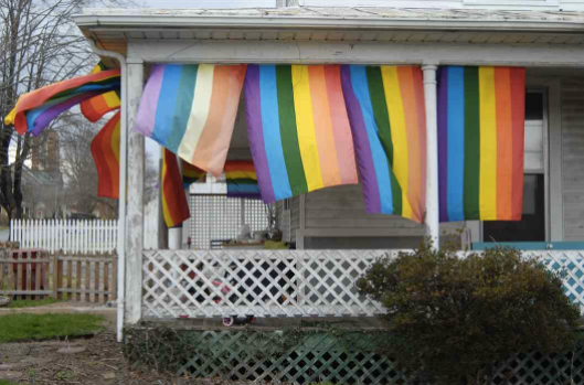Someone dumped a dead cow in woman’s yard after she hung rainbow flags on porch