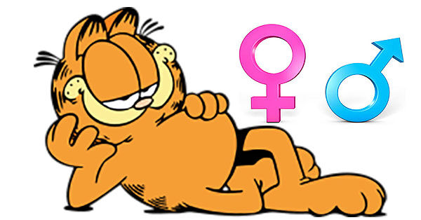 Is Garfield a boy or a girl?