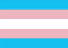 Show us how visible you are on this Transgender Day of Visibility