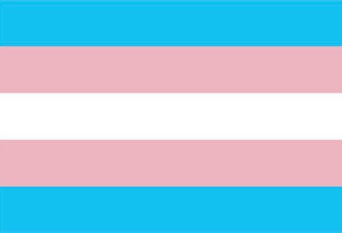 Show us how visible you are on this Transgender Day of Visibility