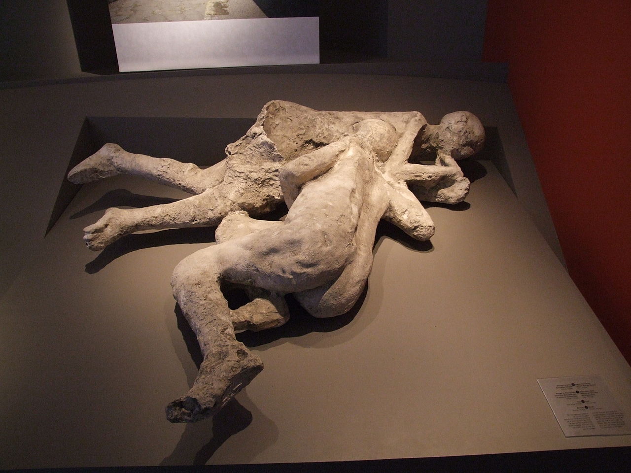 &#8216;Two maidens&#8217; of Pompeii have male DNA, now &#8216;gay lovers&#8217;