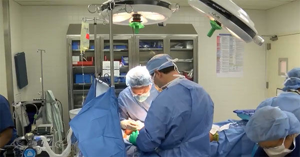 No regrets: Top surgery patients report 100% satisfaction