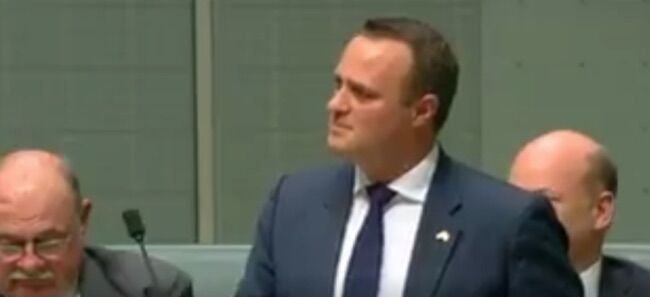 Australian member of parliament proposes during marriage equality bill debate