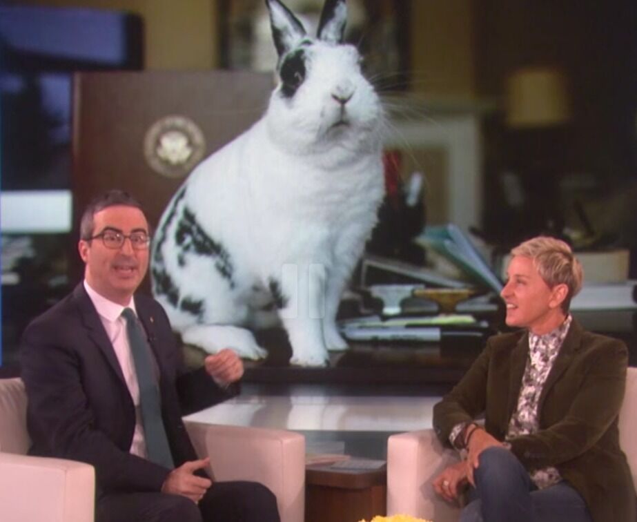 Ellen joins John Oliver&#8217;s gay bunny campaign against Mike Pence
