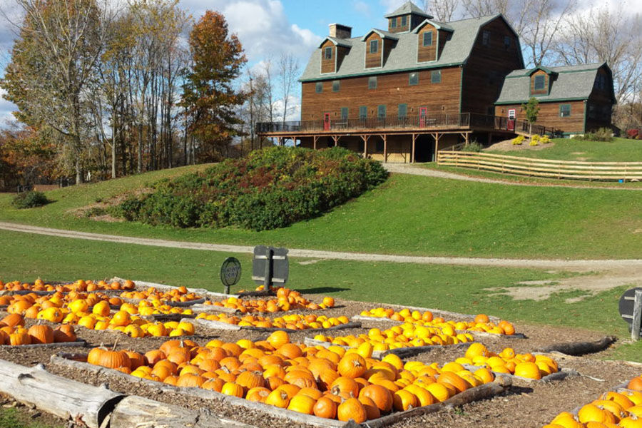 You can have your wedding at this couple’s farm. Then they’ll donate profits to hate groups.