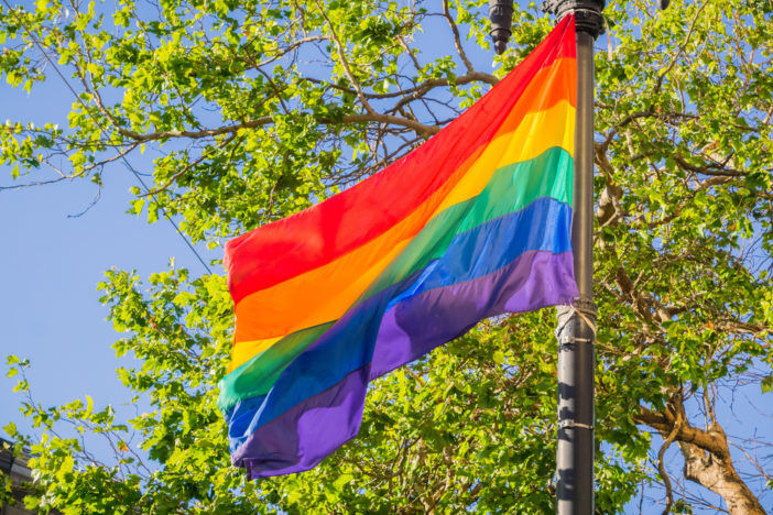 A rainbow flag in front of some trees