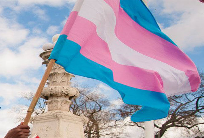 The transgender flag