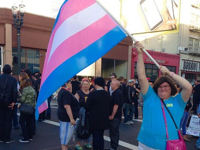 A demonstrator waving the transgender flag.