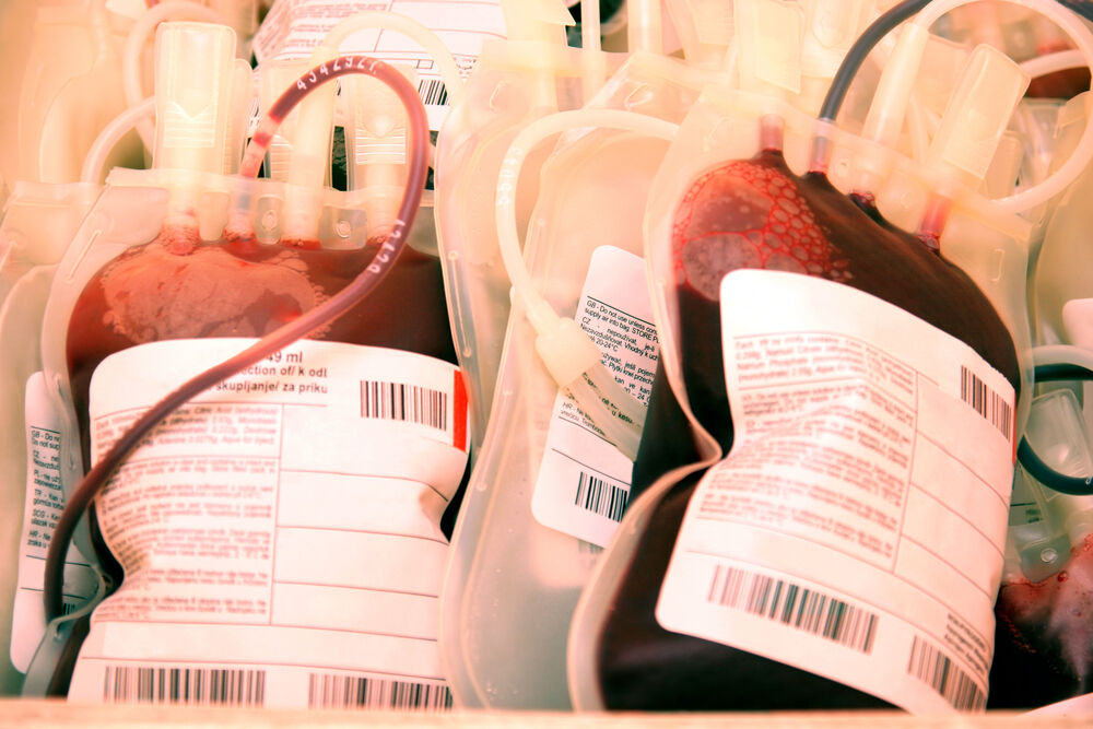 Red Cross bans transgender people from donating blood in Belgium