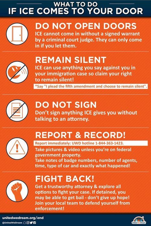 ICE, immigration and detainment infographic