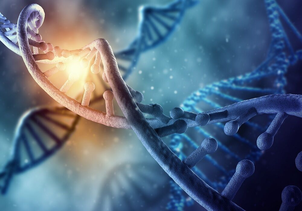 A drawing of a DNA molecule