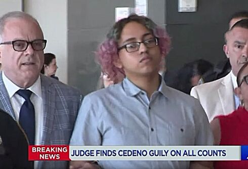 A gay teen who was brutally bullied for years fought back. He got 14 years in prison for it.
