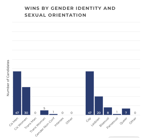 A chart breaking down the gender and sexual orientation of the LGBTQ political candidates who won in 2019. 