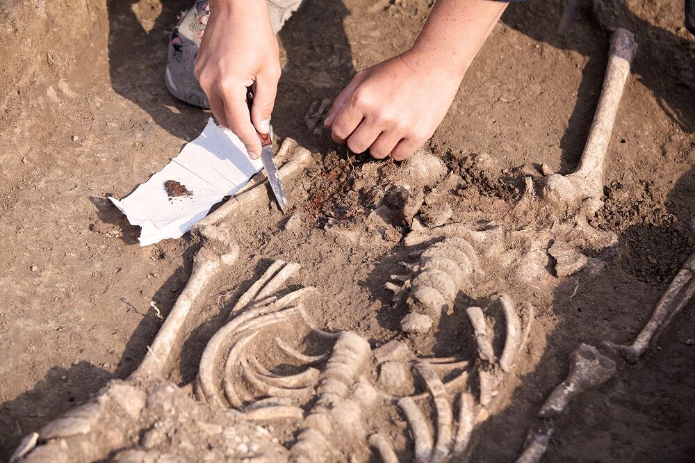 A skeleton being unearthed