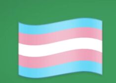 The transgender flag emoji has finally arrived