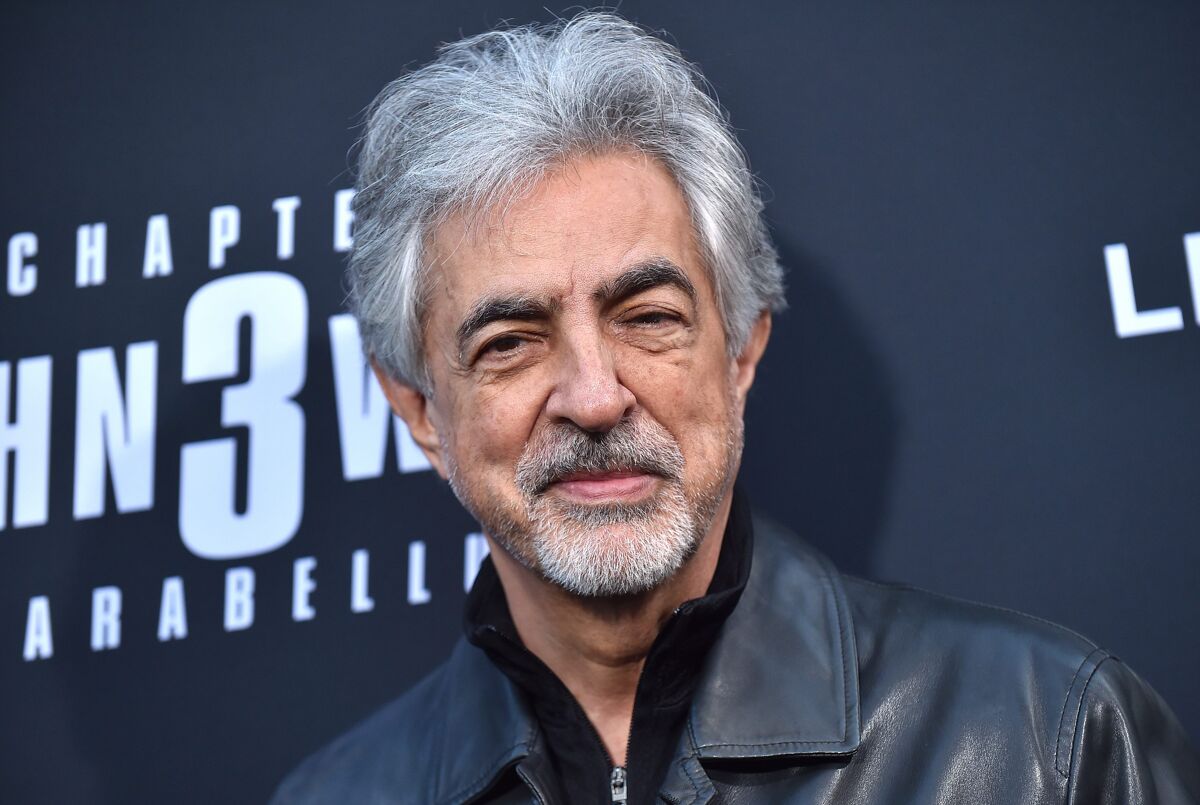 Joe Mantegna arrives for the John Wick: Chapter 3 - Parabellum' L.A. Special Screening on May 15, 2019.