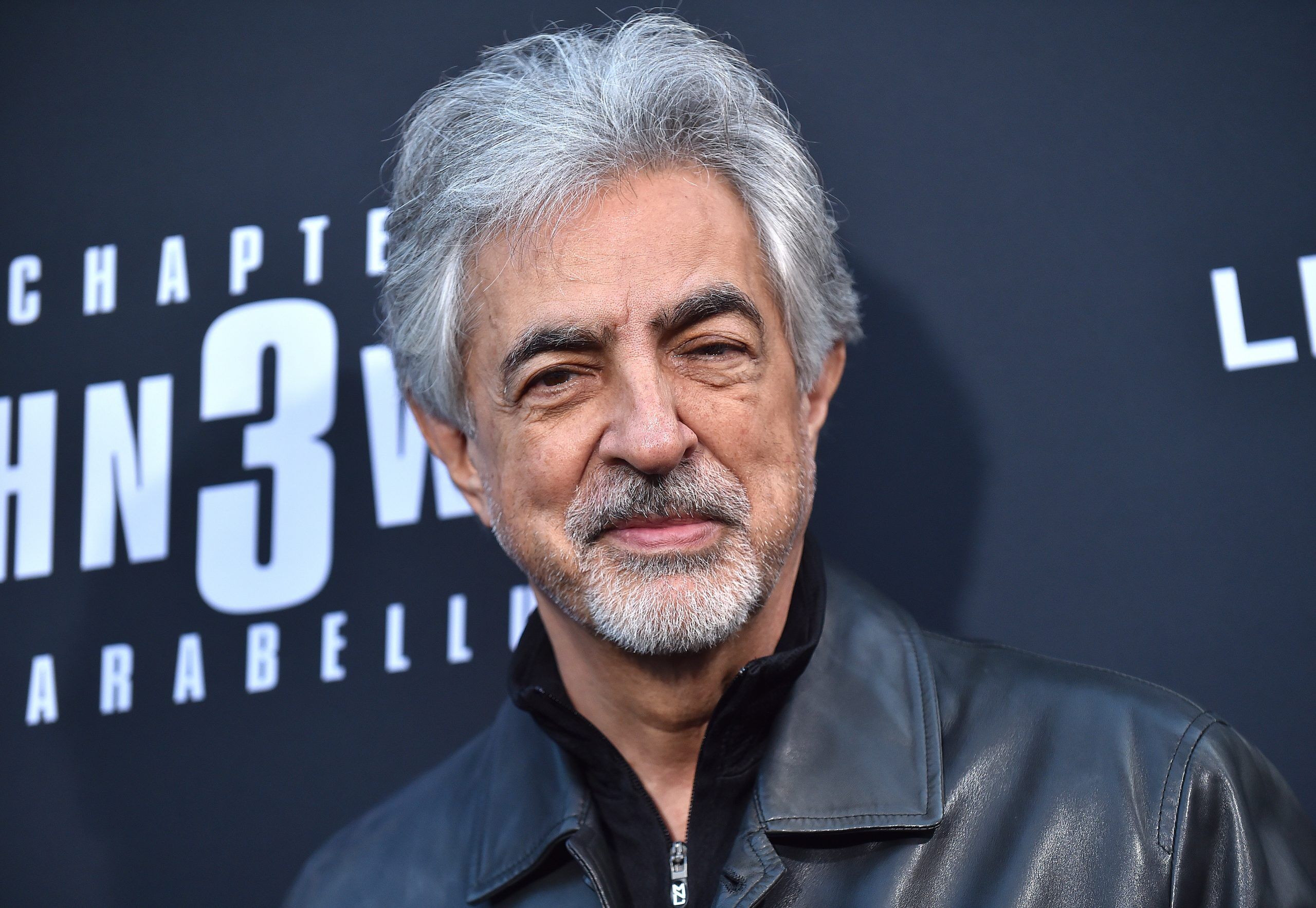 Joe Mantegna arrives for the John Wick: Chapter 3 - Parabellum' L.A. Special Screening on May 15, 2019.
