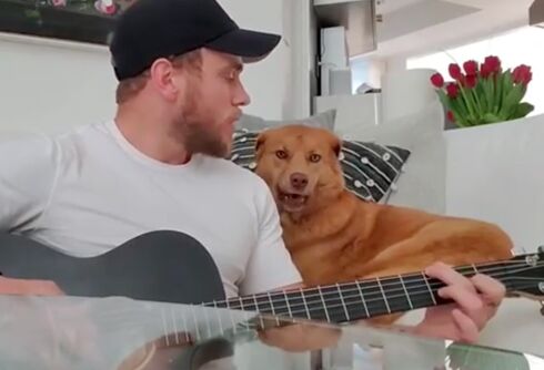 Gus Kenworthy’s dog throws him massive shade while the athlete plays guitar