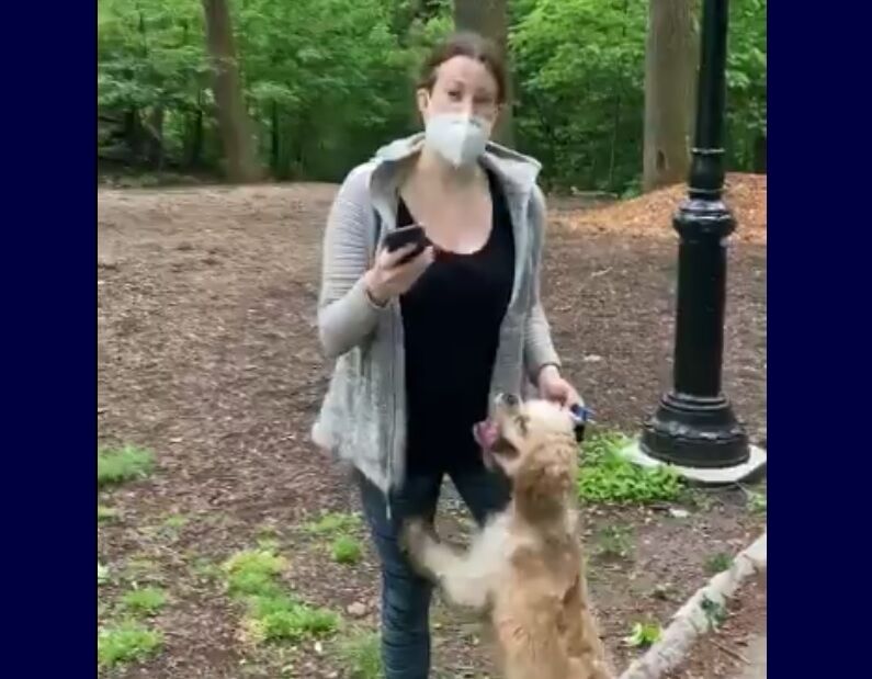 Amy Cooper, a white woman in a facemask, stands in a park, holding a cell phone in one hand and her dog in another.