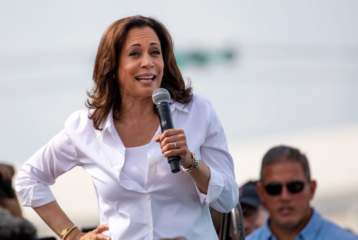 Have you seen Kamala Harris' hot stepson? - LGBTQ Nation