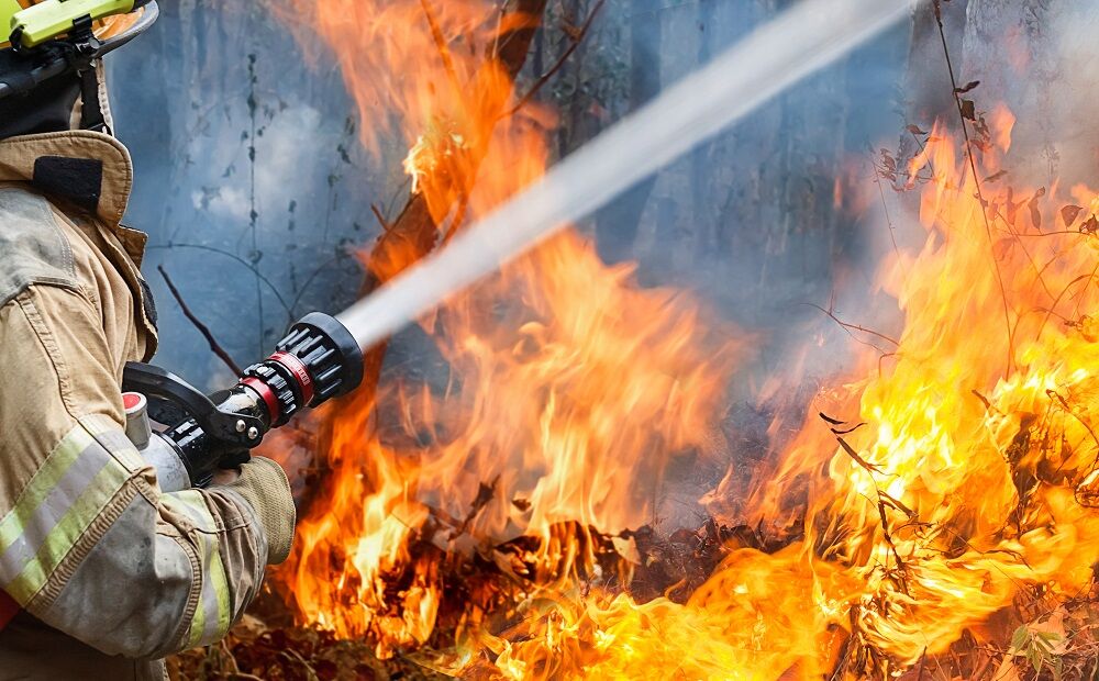 A wildfire and a firefighter