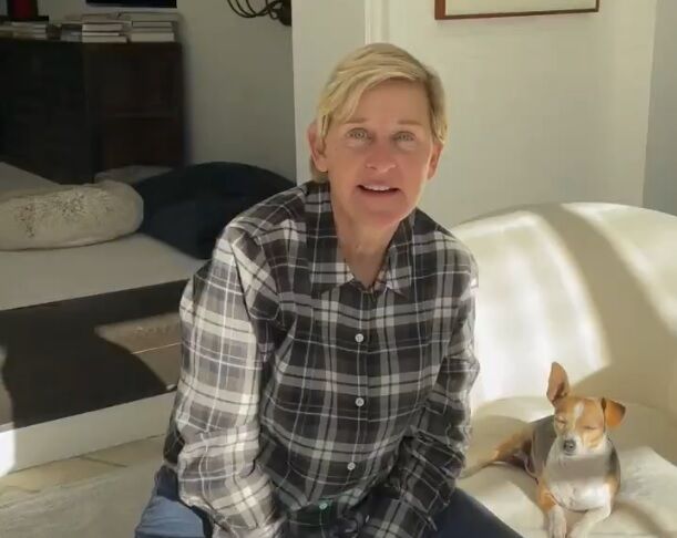 Ellen Degeneres in a plaid shirt