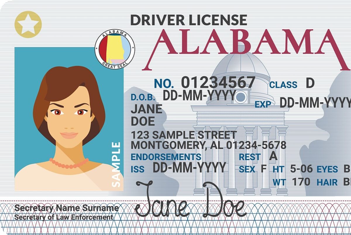 Vector template of sample driver license plastic card for USA