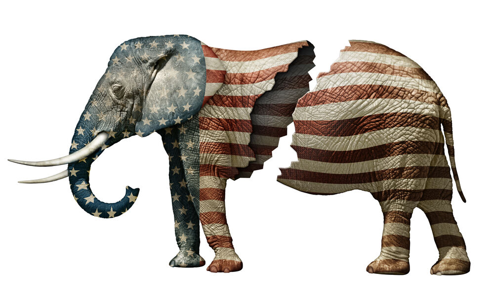 An elephant divided cannot stand