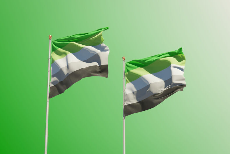 Aromantic,Pride,Flags.,3d,Artwork Two Aromantic Pride Flags