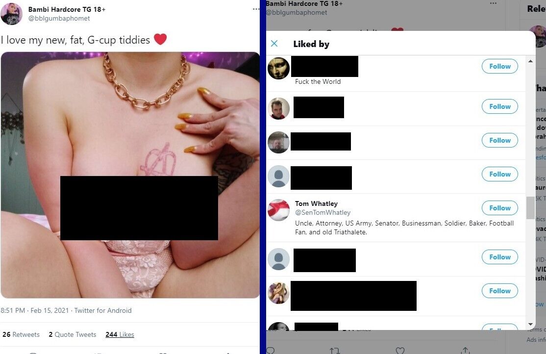 Alabama Republican busted looking at trans adult pics online after voting  against trans rights - LGBTQ Nation