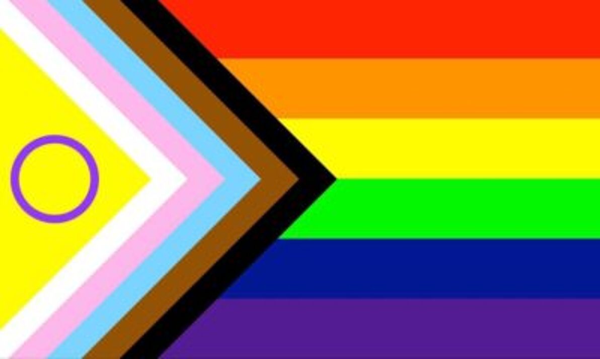 How Many Versions Of The Pride Flag Are There Now You Might Be