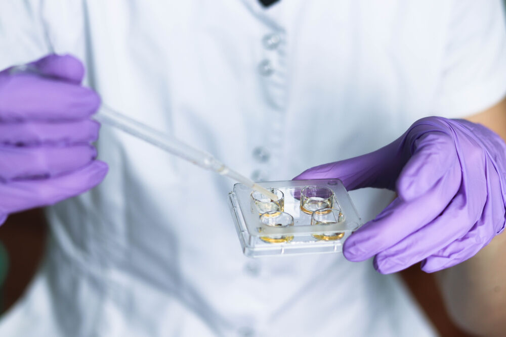 A doctor with embryos