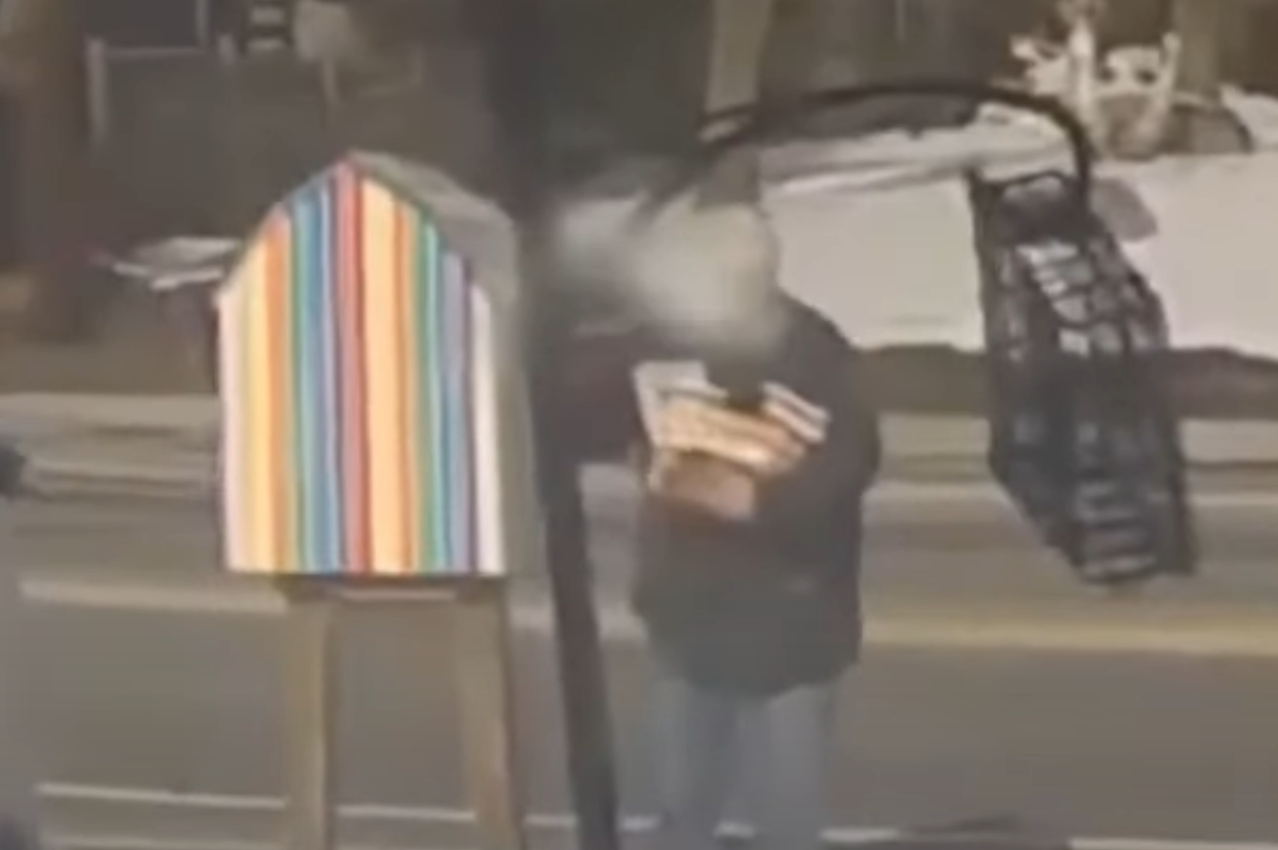 Video captures vandal removing $1,000 in LGBTQ books from roadside library