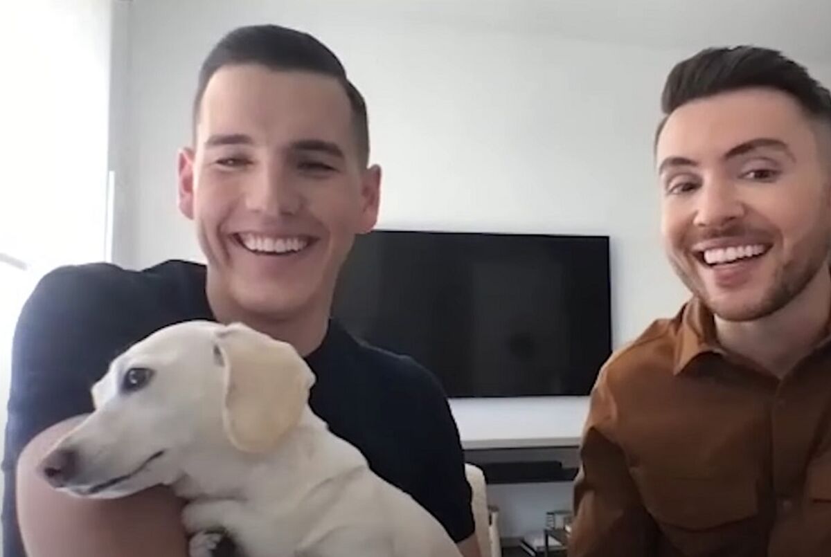 This dog is the new face of online homophobia LGBTQ Nation