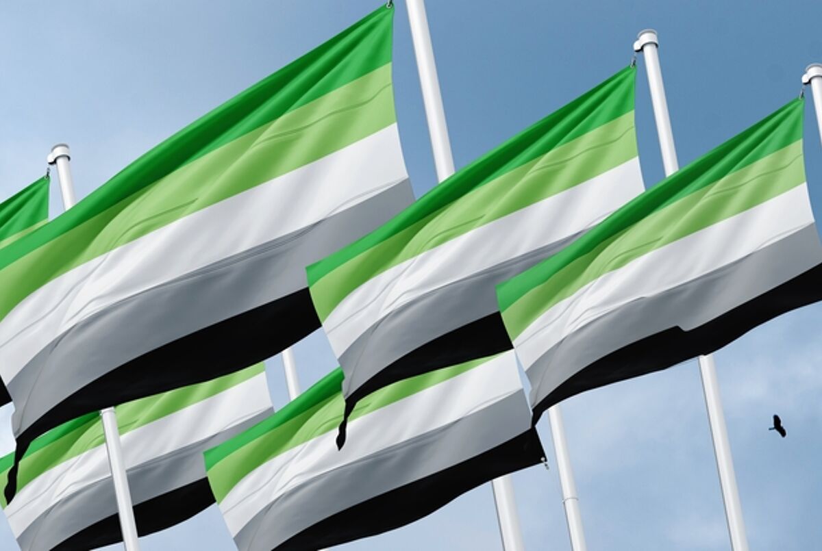 All About The Aromantic Flag: Different Meanings & Versions