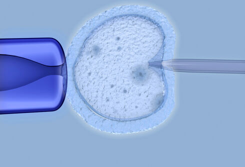 Three clinics halt IVF treatment because embryos are now considered “children” in the state