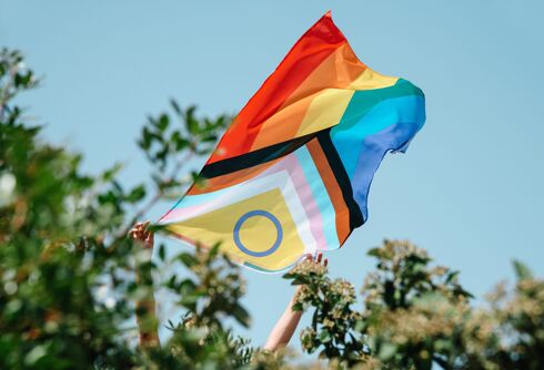 Emblems of equality: Discovering the world of LGBTQ+ Pride flags