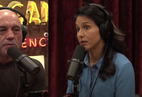 Joe Rogan tells Tulsi Gabbard that there are litter boxes in school bathrooms for furries