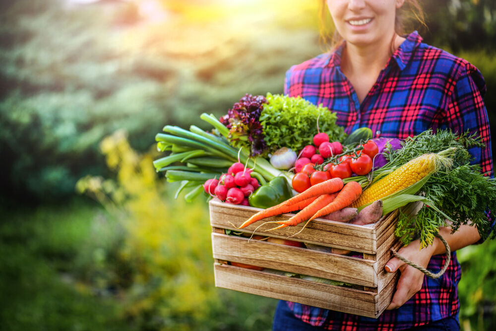 Matt Walsh says GMOs might be turning people transgender.