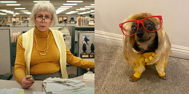 Jamie Lee Curtis in Everything Everywhere All at Once; rescue dog Ziggy dressed as her character.