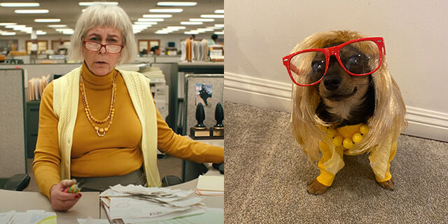 Jamie Lee Curtis in Everything Everywhere All at Once; rescue dog Ziggy dressed as her character.