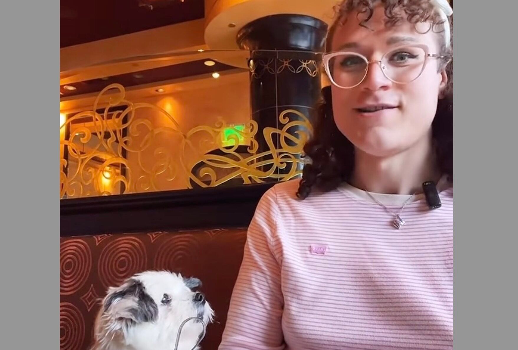 Lilly Contino and her dog harrassed by TERF at Cheesecake Factory