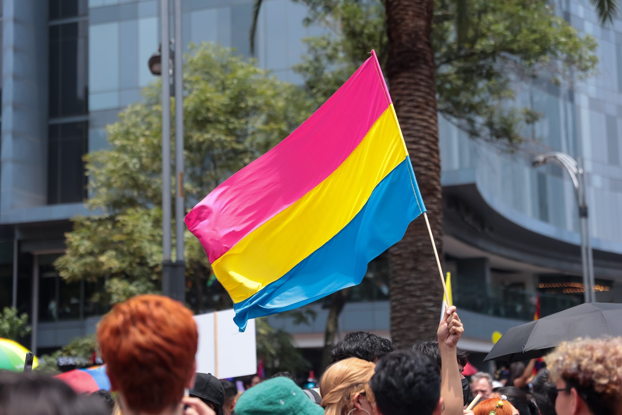 Pansexual flag at the annual gay parade in Mexico City