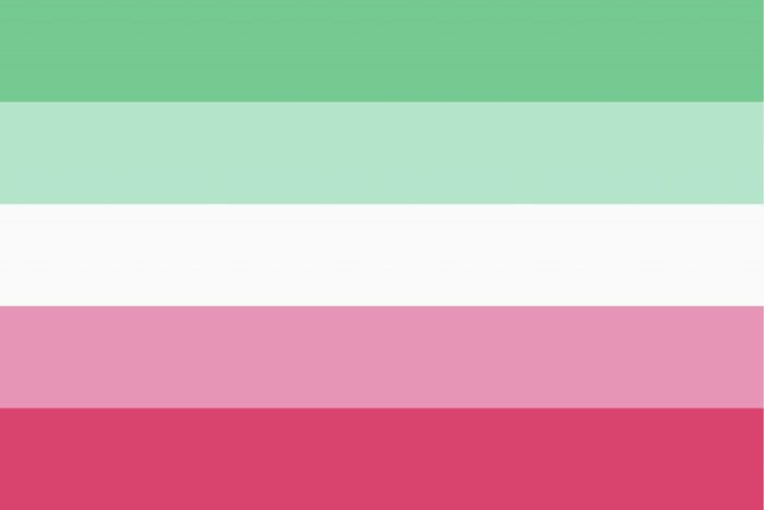 Abrosexual Pride Flag