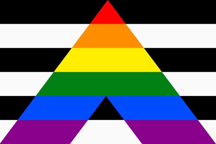 Ally Pride Flag