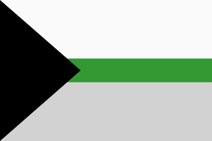 Demiromantic Pride Flag