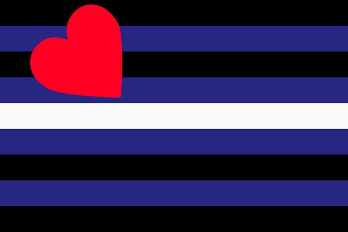 Leather BDSM Pride Flag