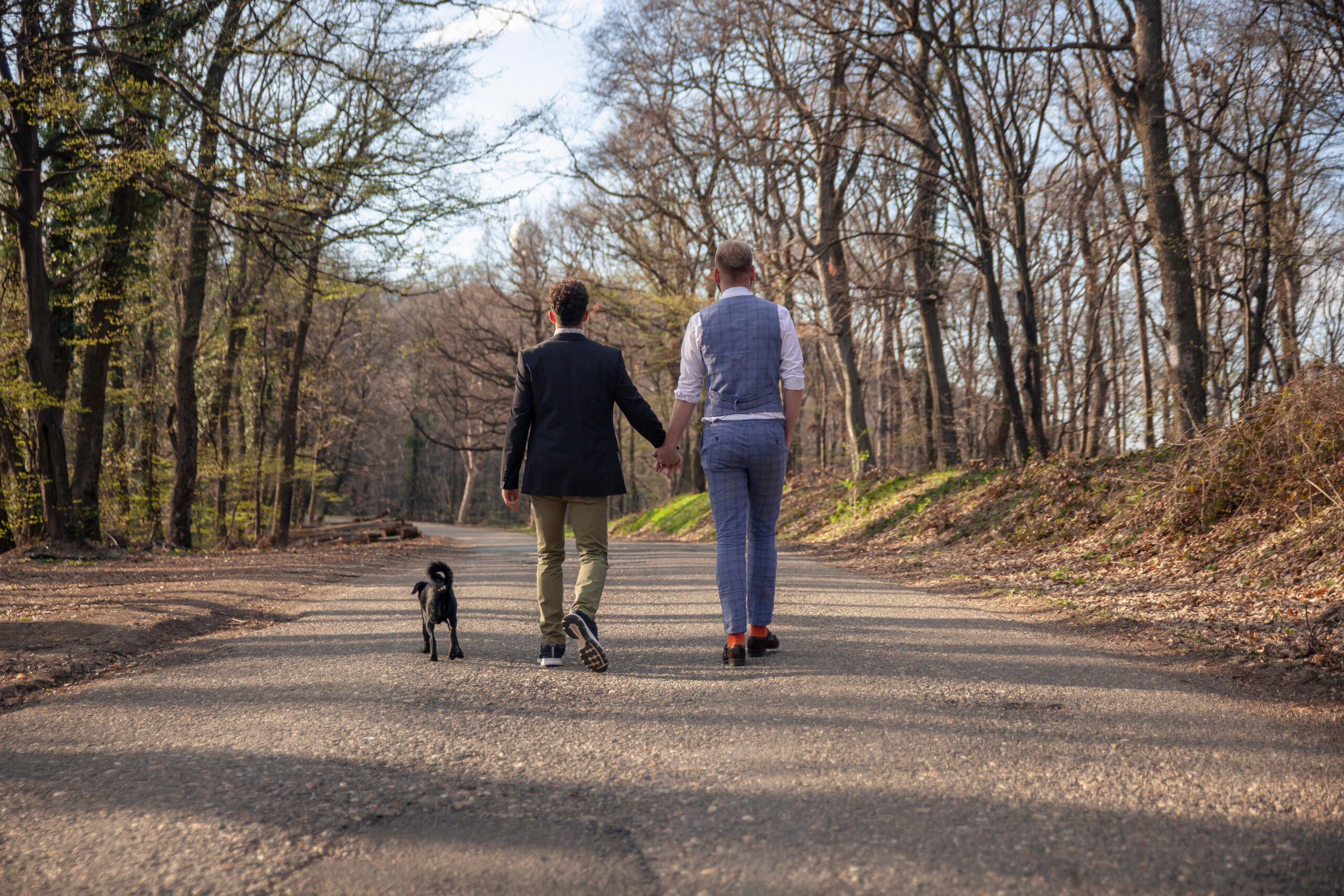 rear view, two gay man walking in forest, on asphalt road. Together holding hands. Their puppy dog walking with them too close by.
